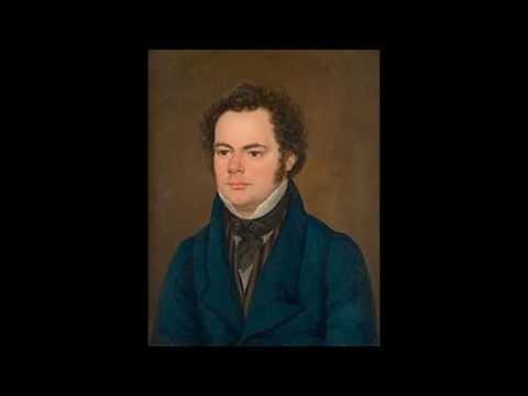 Franz Schubert. foto article