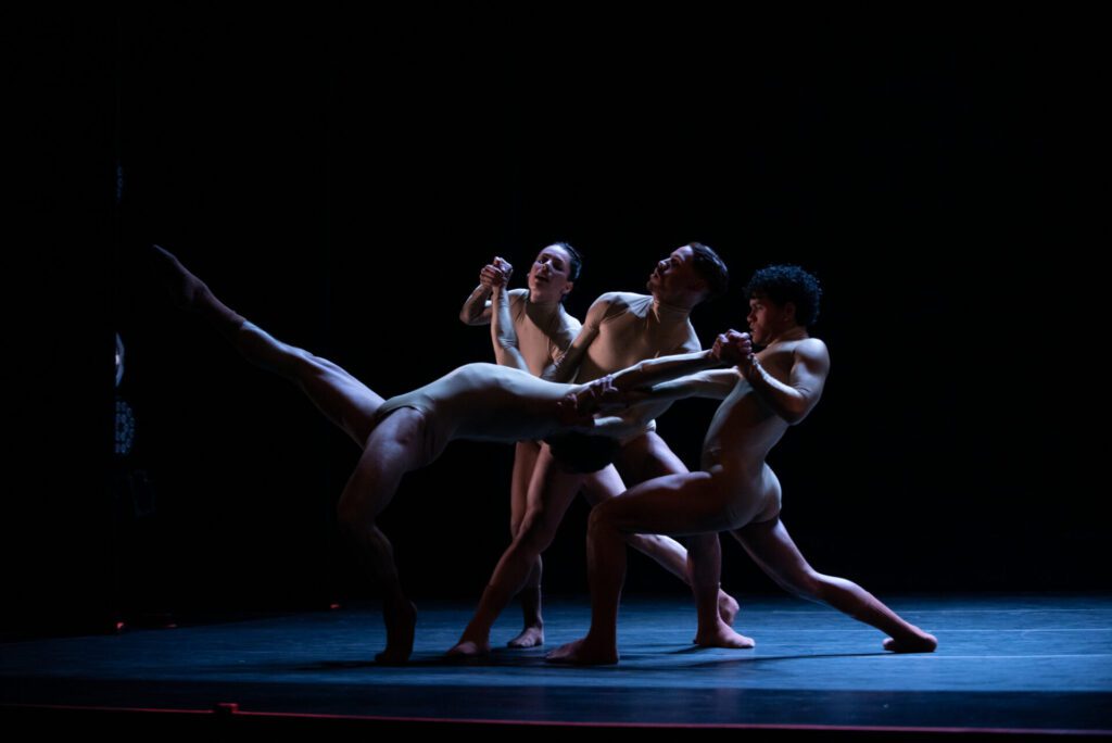 ECOS DE LA “V” GALA DE BALLET DE PROVIDENCIA.
